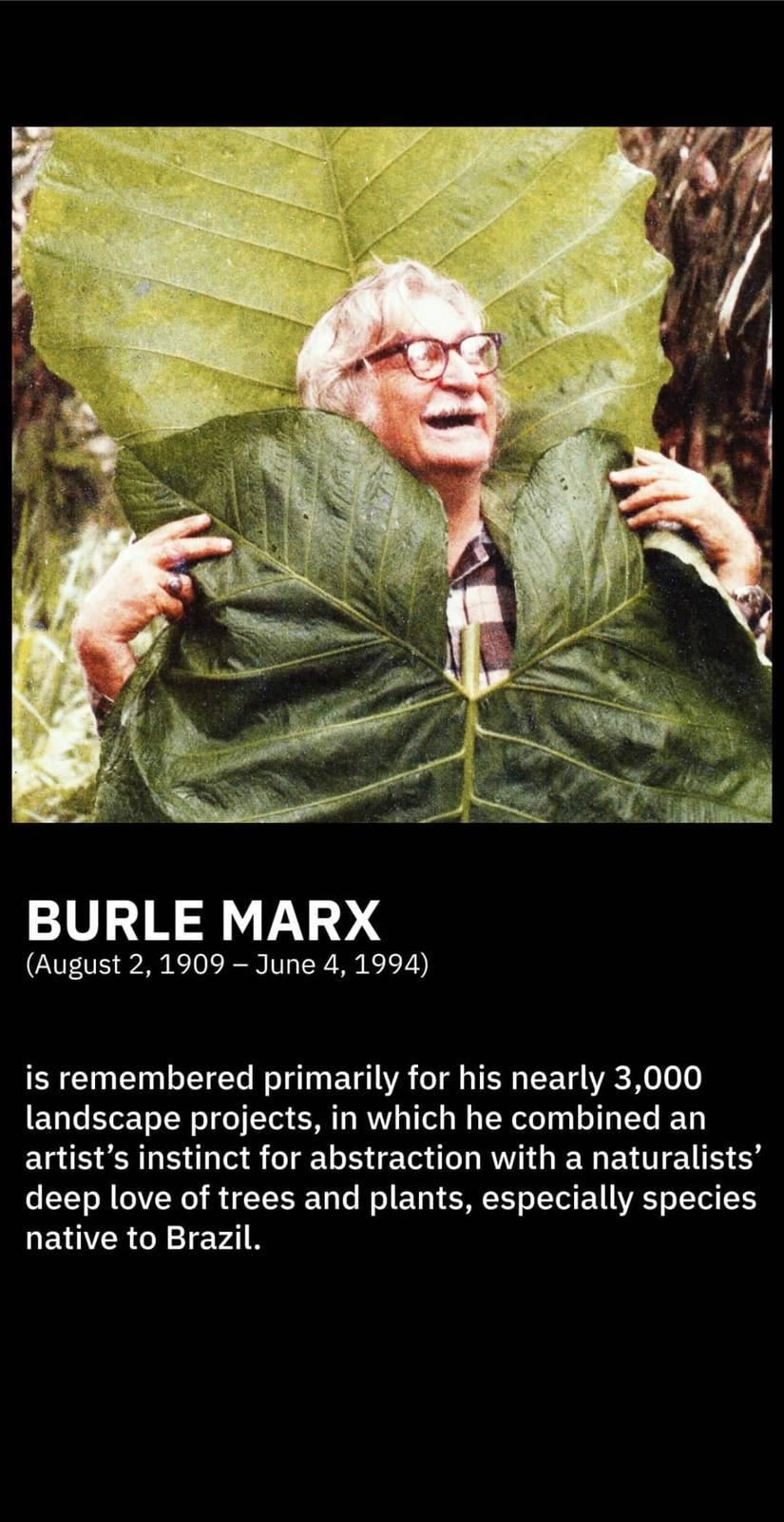 Roberto Burell Marx